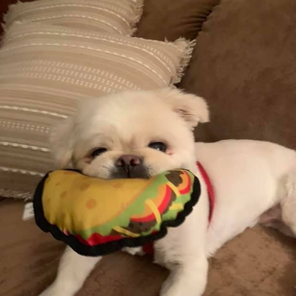 Meet your Posher, Candice - Picture 1 of 1